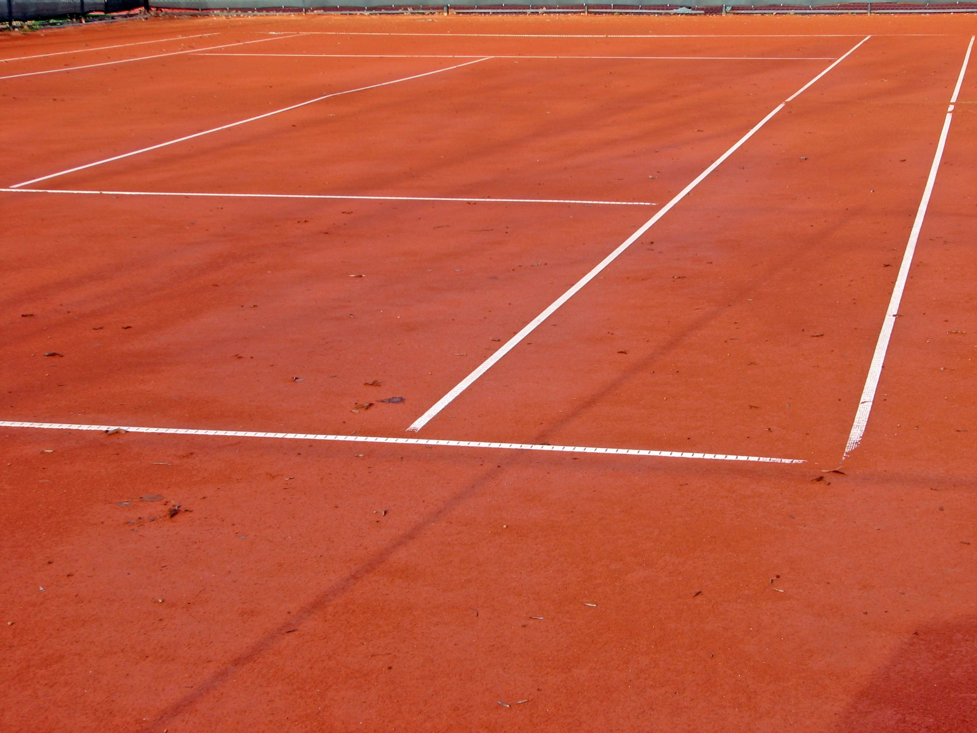 Tenis igrišča so učilnica vztrajnosti in discipline.